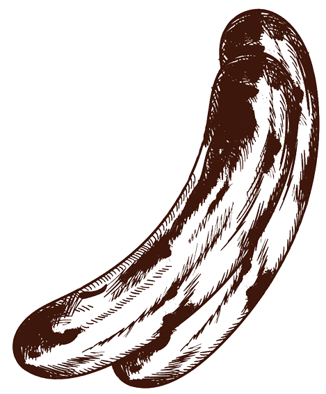 Victorian illustration of sausages